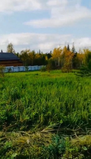 ДП Родной в Михайловске - mihajlovsk.yutvil.ru