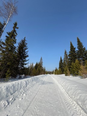 ДП Родной в Михайловске - mihajlovsk.yutvil.ru - фото 7