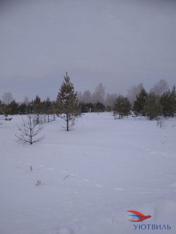 Земельный участок поселок Баженово в Михайловске - mihajlovsk.yutvil.ru - фото 5