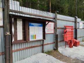 г.Верхняя Пышма СНТ №5 Березки в кв. 22 Среднеуральского Уралмашевского лесхоза в Михайловске - mihajlovsk.yutvil.ru - фото 18