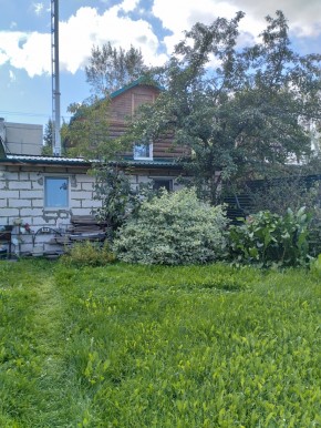 Коллективный сад номер 7, участок 58 в Михайловске - mihajlovsk.yutvil.ru - фото 21 Коллективный сад номер 7, участок 58 в Михайловске - mihajlovsk.yutvil.ru - фото 21