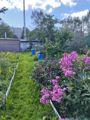 Коллективный сад номер 7, участок 58 в Михайловске - mihajlovsk.yutvil.ru - фото 23 Коллективный сад номер 7, участок 58 в Михайловске - mihajlovsk.yutvil.ru - фото 23