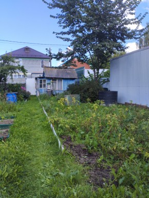 Коллективный сад номер 7, участок 58 в Михайловске - mihajlovsk.yutvil.ru - фото 25 Коллективный сад номер 7, участок 58 в Михайловске - mihajlovsk.yutvil.ru - фото 25