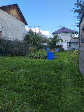 Коллективный сад номер 7, участок 58 в Михайловске - mihajlovsk.yutvil.ru - фото 26 Коллективный сад номер 7, участок 58 в Михайловске - mihajlovsk.yutvil.ru - фото 26