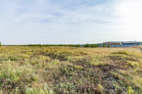 Российская Федерация, Свердловская область, Сысертский городской округ, территория садоводческого некоммерческого товарищества Бобровские дачи, улица Каштановая, земельный участок № 38 в Михайловске - mihajlovsk.yutvil.ru - фото 24