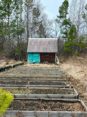 СНТ Родники в Михайловске - mihajlovsk.yutvil.ru - фото 7