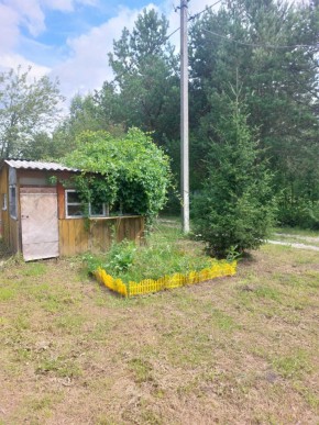 СНТ Родники в Михайловске - mihajlovsk.yutvil.ru - фото 1 СНТ Родники в Михайловске - mihajlovsk.yutvil.ru - фото 1