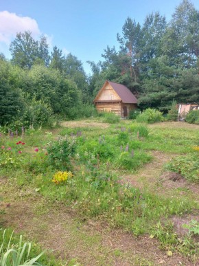 СНТ Родники в Михайловске - mihajlovsk.yutvil.ru - фото 2 СНТ Родники в Михайловске - mihajlovsk.yutvil.ru - фото 2