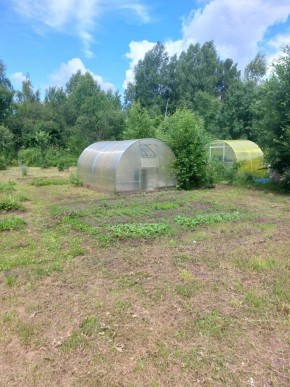 СНТ Родники в Михайловске - mihajlovsk.yutvil.ru - фото 3 СНТ Родники в Михайловске - mihajlovsk.yutvil.ru - фото 3