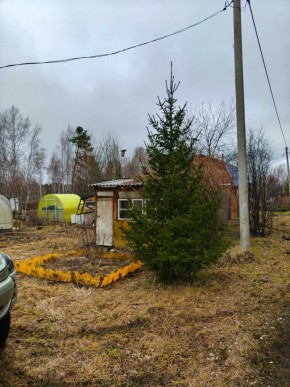 СНТ Родники в Михайловске - mihajlovsk.yutvil.ru - фото 5