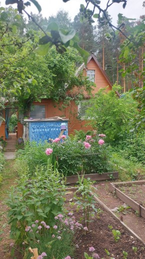 СНТ Садовод-24 в Михайловске - mihajlovsk.yutvil.ru
