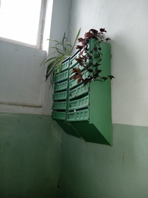 ул. Бажова,11 в Михайловске - mihajlovsk.yutvil.ru - фото 3 ул. Бажова,11 в Михайловске - mihajlovsk.yutvil.ru - фото 3