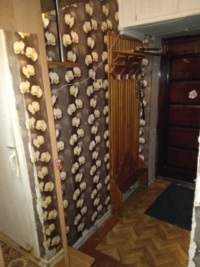 ул. Бажова,11 в Михайловске - mihajlovsk.yutvil.ru - фото 9 ул. Бажова,11 в Михайловске - mihajlovsk.yutvil.ru - фото 9