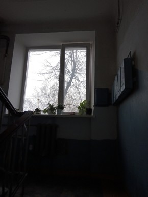 ул. Донбасская,27 в Михайловске - mihajlovsk.yutvil.ru - фото 5 ул. Донбасская,27 в Михайловске - mihajlovsk.yutvil.ru - фото 5