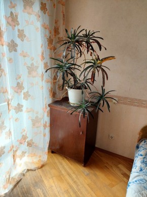 ул. Индустрии,29 в Михайловске - mihajlovsk.yutvil.ru - фото 4 ул. Индустрии,29 в Михайловске - mihajlovsk.yutvil.ru - фото 4