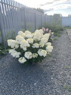 ул. Весенняя,12 в Михайловске - mihajlovsk.yutvil.ru - фото 20