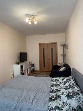 ул. Вильгельма де Геннина,47 в Михайловске - mihajlovsk.yutvil.ru - фото 9 ул. Вильгельма де Геннина,47 в Михайловске - mihajlovsk.yutvil.ru - фото 9